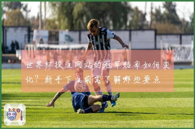 世界杯投注网站的冠军赔率如何变化？新手下注前需了解哪些要点