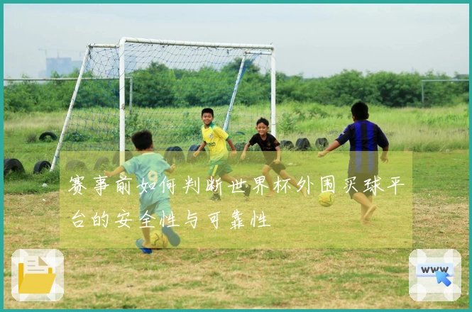 赛事前如何判断世界杯外围买球平台的安全性与可靠性