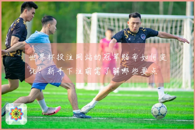 世界杯投注网站的冠军赔率如何变化？新手下注前需了解哪些要点