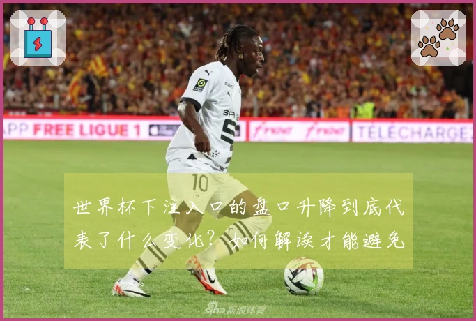世界杯下注入口的盘口升降到底代表了什么变化？如何解读才能避免误判？