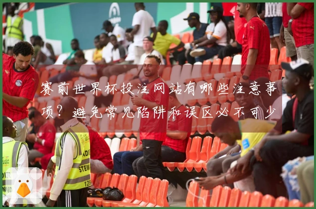 赛前世界杯投注网站有哪些注意事项？避免常见陷阱和误区必不可少