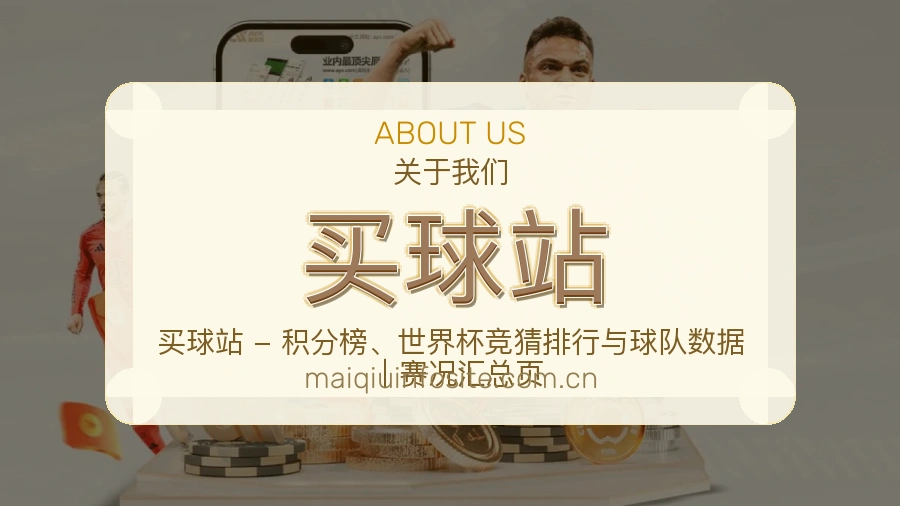 买球站观赛体验说明